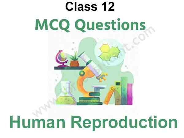 Human Reproduction Class 12 MCQ Free PDF Download