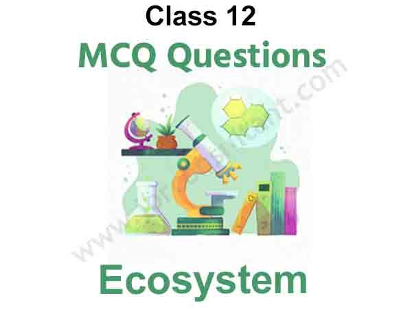 Ecosystem MCQs for Class 12 Biology Free PDF Download
