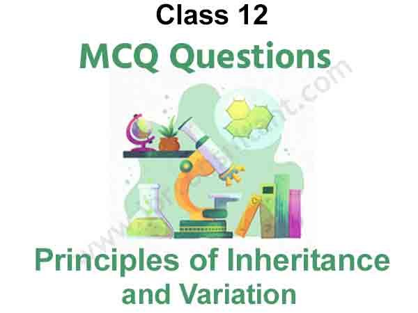 MCQ on Principles of Inheritance and Variation Class 12 Biology PDF