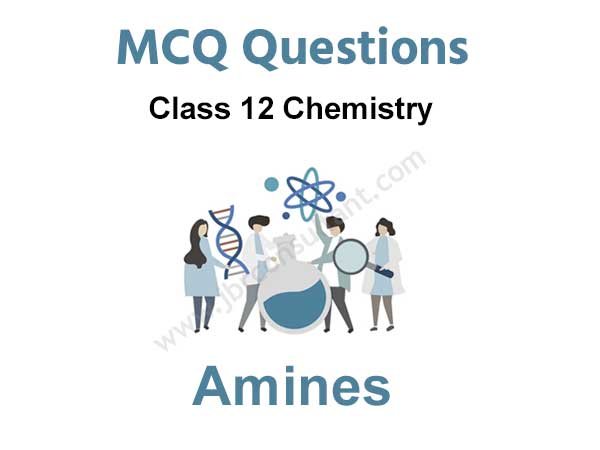 amines mcq