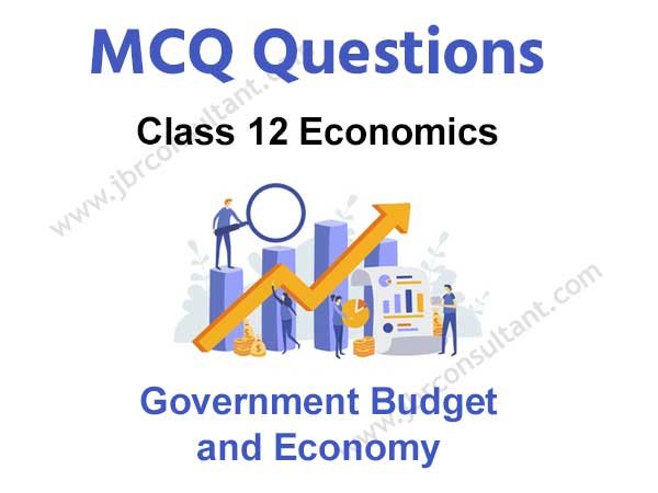 Government Budget and the Economy Class 12 MCQ