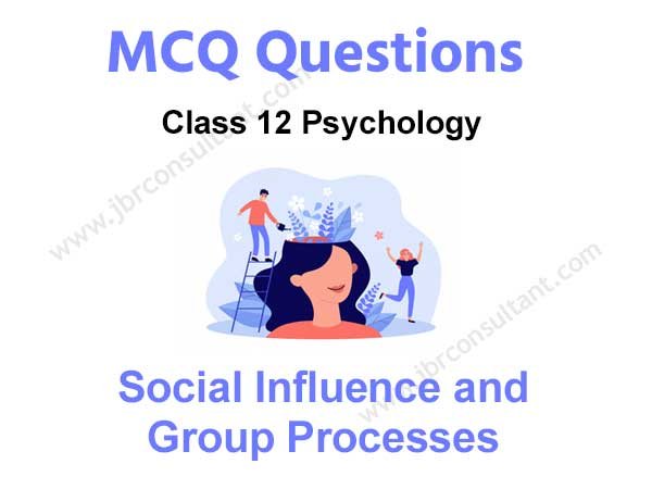 Social Influence And Group Processes Class 12 MCQ
