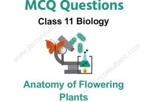 Anatomy of Flowering Plants Class 11 MCQ