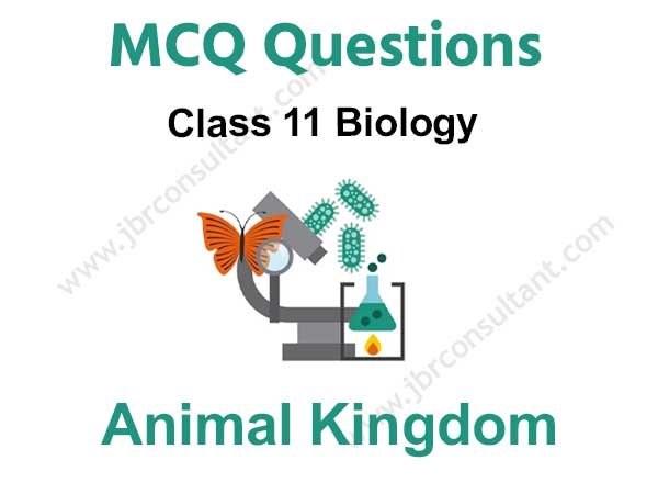 Animal Kingdom Class 11 MCQ Questions with Answer