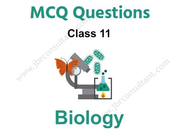 Class 11 Biology MCQ