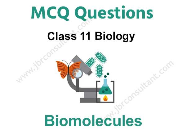 Biomolecules Class 11 MCQ