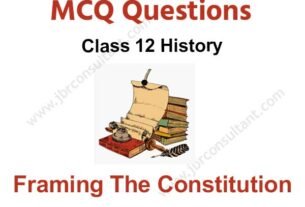 Framing The Constitution Class 12 MCQ