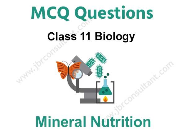 Mineral Nutrition Class 11 MCQ