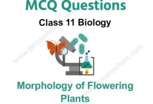 Morphology of Flowering Plants Class 11 MCQ