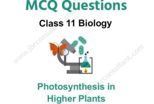 Photosynthesis in Higher Plants Class 11 MCQ