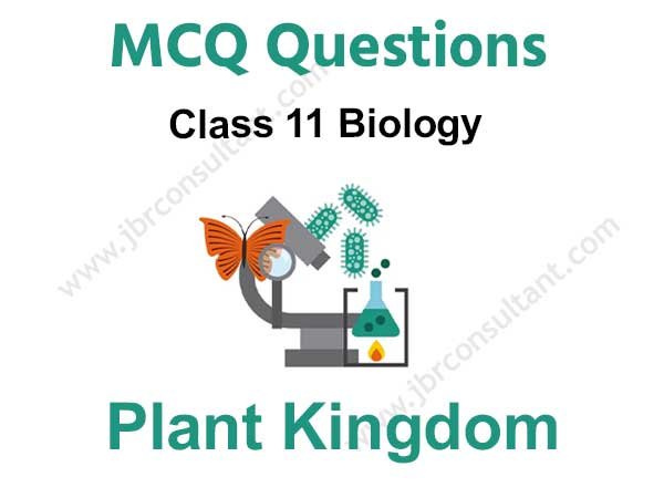 Plant Kingdom Class 11 MCQ