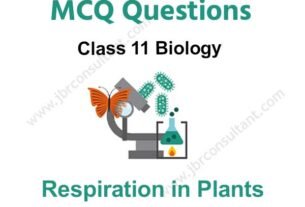 Respiration in Plants Class 11 MCQ