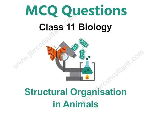 structural organisation in animals Class 11 MCQ