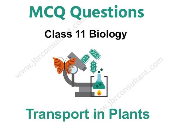 Transport in Plants Class 11 MCQ Questions with Answer